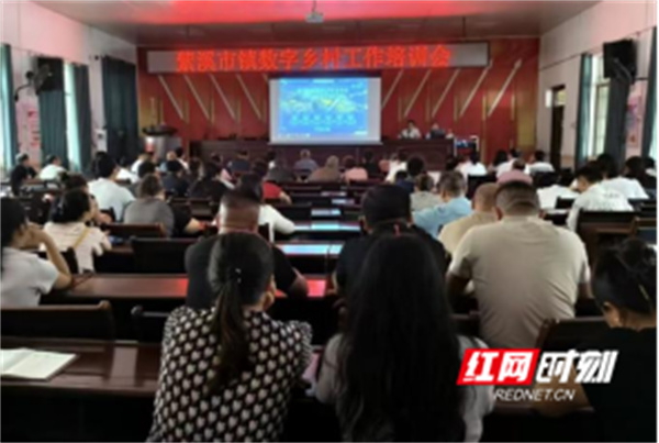 Pg电子游戏：东安县紫溪市镇开展数字乡村工作培训会(图1)