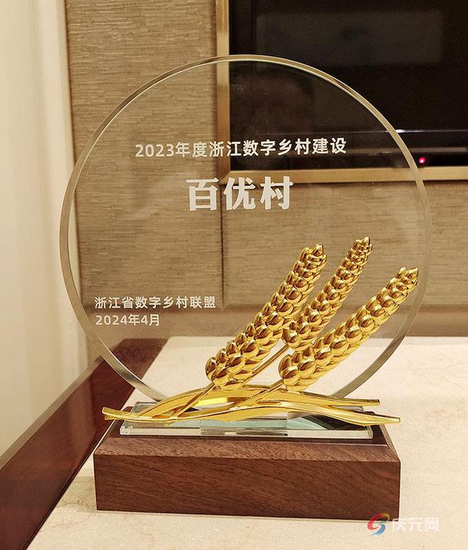 Pg电子游戏平台：庆元县唯一！这个村荣获浙江数字乡村“百优村”(图1)