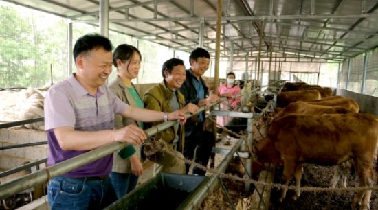 Pg电子游戏平台：襄阳联通“总经理办实事”赋能乡村振兴跑出数字时代“加速度”(图4)