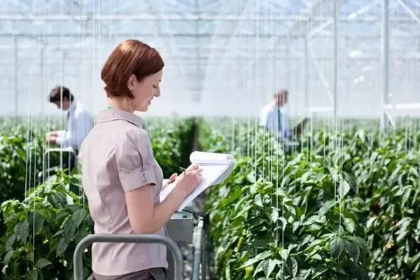 Pg电子平台：【农业行业观察】政策青睐！数字乡村6个创新模式值得推荐(图6)