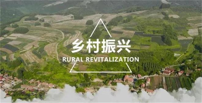 Pg电子平台：数字乡村：如何通过数据中台让乡村发展更智慧？(图1)