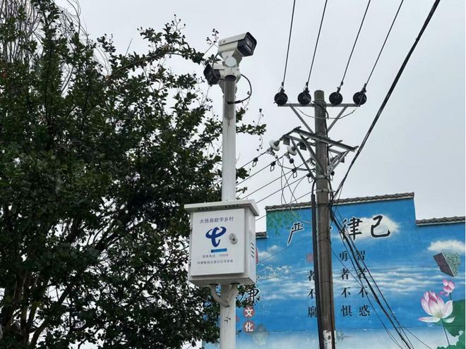 Pg电子游戏：荆楚乡村展新颜中国电信数字乡村实践交出亮眼答卷(图6)