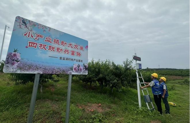 Pg电子游戏：荆楚乡村展新颜中国电信数字乡村实践交出亮眼答卷(图2)