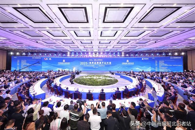 Pg电子游戏平台：2025世界品牌莫干山大会启幕河北企业平普科技荣膺“数字乡村建设首选品牌”(图1)