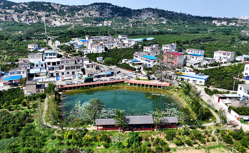 Pg电子游戏平台：蚌埠禹会区：“和美乡村”入画来(图3)