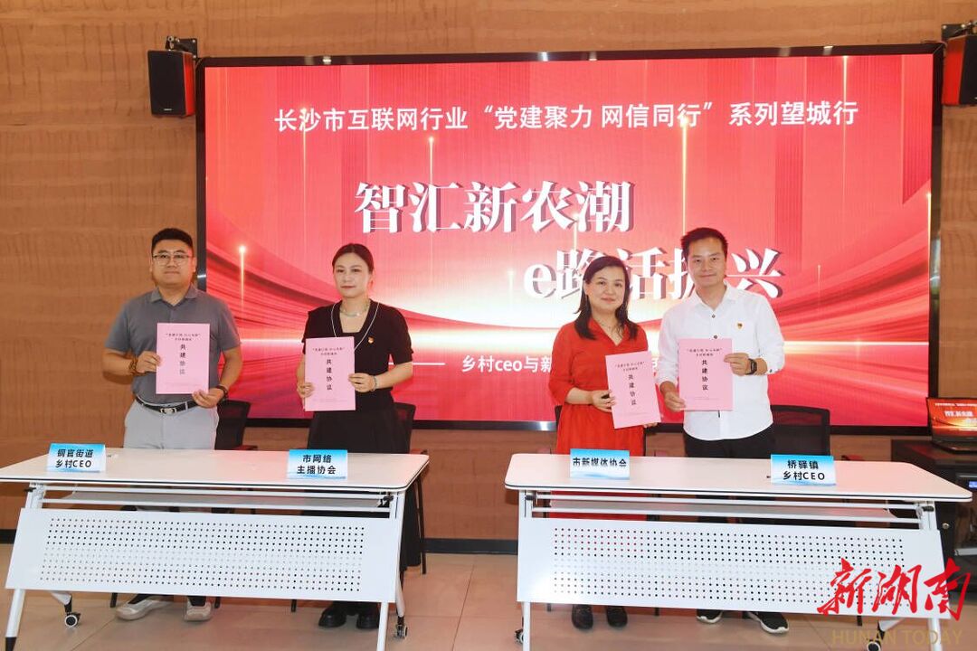 Pg电子平台：数字赋能乡村振兴望城区乡村基层党组织携手新媒体共建新(图4)