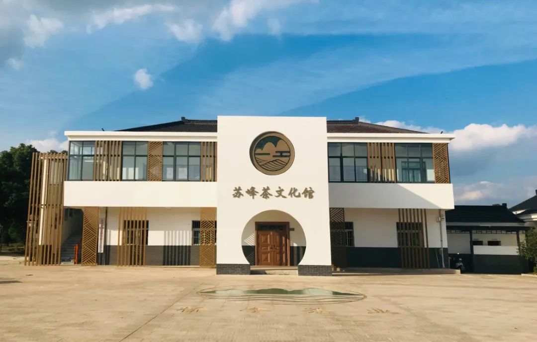 Pg电子游戏：数字乡村改革行茶香漫“数”里桥李村的乡村振兴密码！(图3)