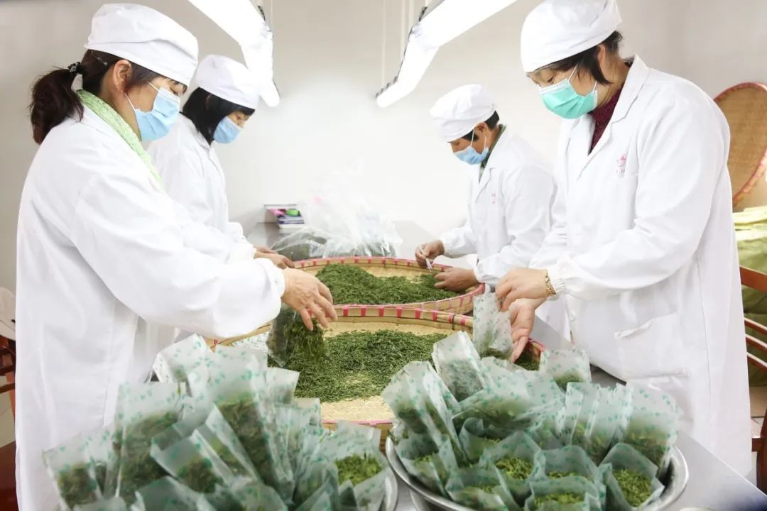Pg电子游戏：数字乡村改革行茶香漫“数”里桥李村的乡村振兴密码！(图6)