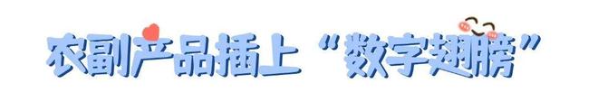 Pg电子游戏:看这张数字乡村成绩单“网络强村”的广宁实践玩得溜(图4)