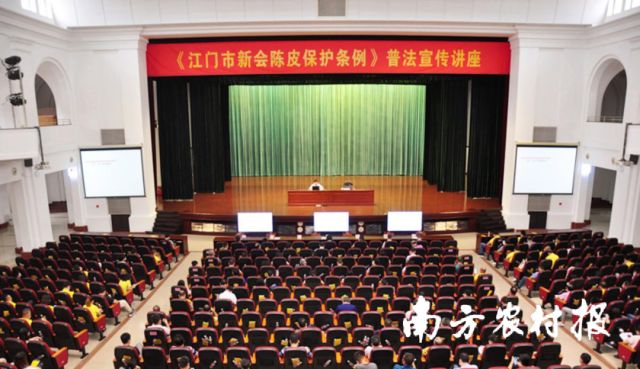 Pg电子平台：新会区农业农村局：党建领航助推新会陈皮产业焕发新活力(图3)