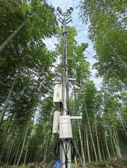 Pg电子游戏平台：中国移动安徽公司数智赋能助力霍山高岭村跑出乡村振兴“加速度”(图2)