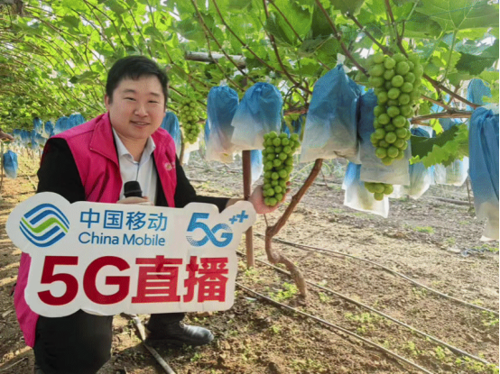 Pg电子游戏平台：蓝海红樱网联万物山东移动烟台分公司以“匠心服务”作答高质量发展(图2)