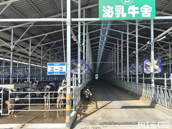 Pg电子平台：活力中国调研行丨湖北南漳这家养牛场牛在哪里？(图3)