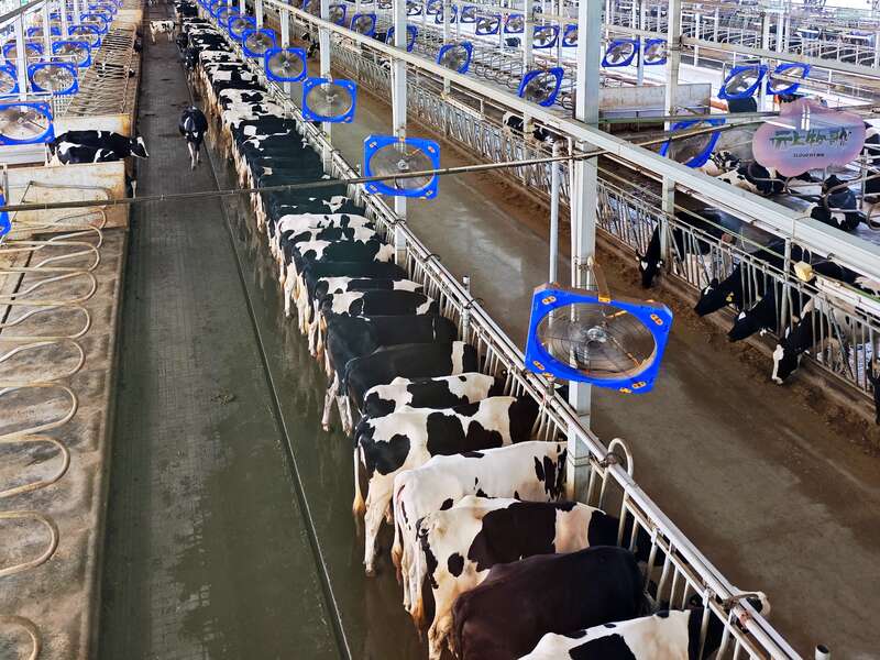 Pg电子游戏：活力中国调研行丨湖北这座山区县城变身华中“奶业硅谷”(图1)