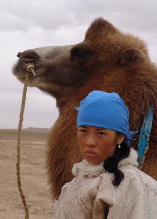 Pg电子游戏平台:一人毁掉整部剧!香肠嘴、死鱼眼她成央视《藏海传》唯一败笔!(图17)