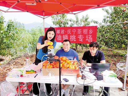 Pg电子游戏：多元农业产业体系助力乡村全面振兴(图2)