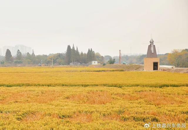 Pg电子游戏平台：坐高铁赴潞村带你走进古韵与生态交融的乡村样本(图1)