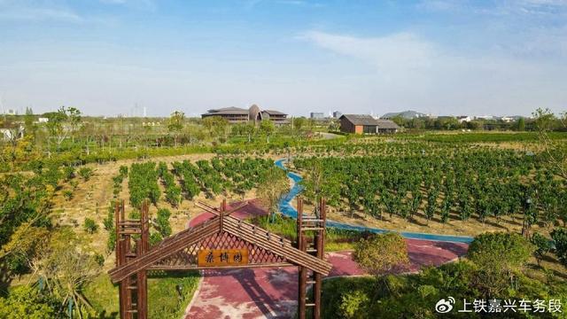 Pg电子游戏平台：坐高铁赴潞村带你走进古韵与生态交融的乡村样本(图18)