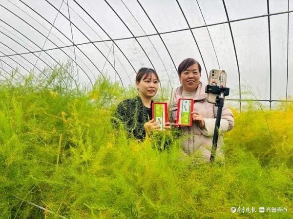 Pg电子游戏：菏泽联通：以数字技术赋能农业现代化谱写乡村振兴新篇章(图3)