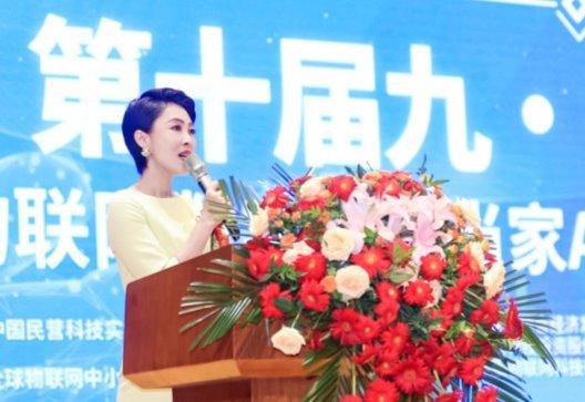 Pg电子游戏：第十届九三物联网日暨物联网数字化正当家AI智能体商超启动大会召开(图3)