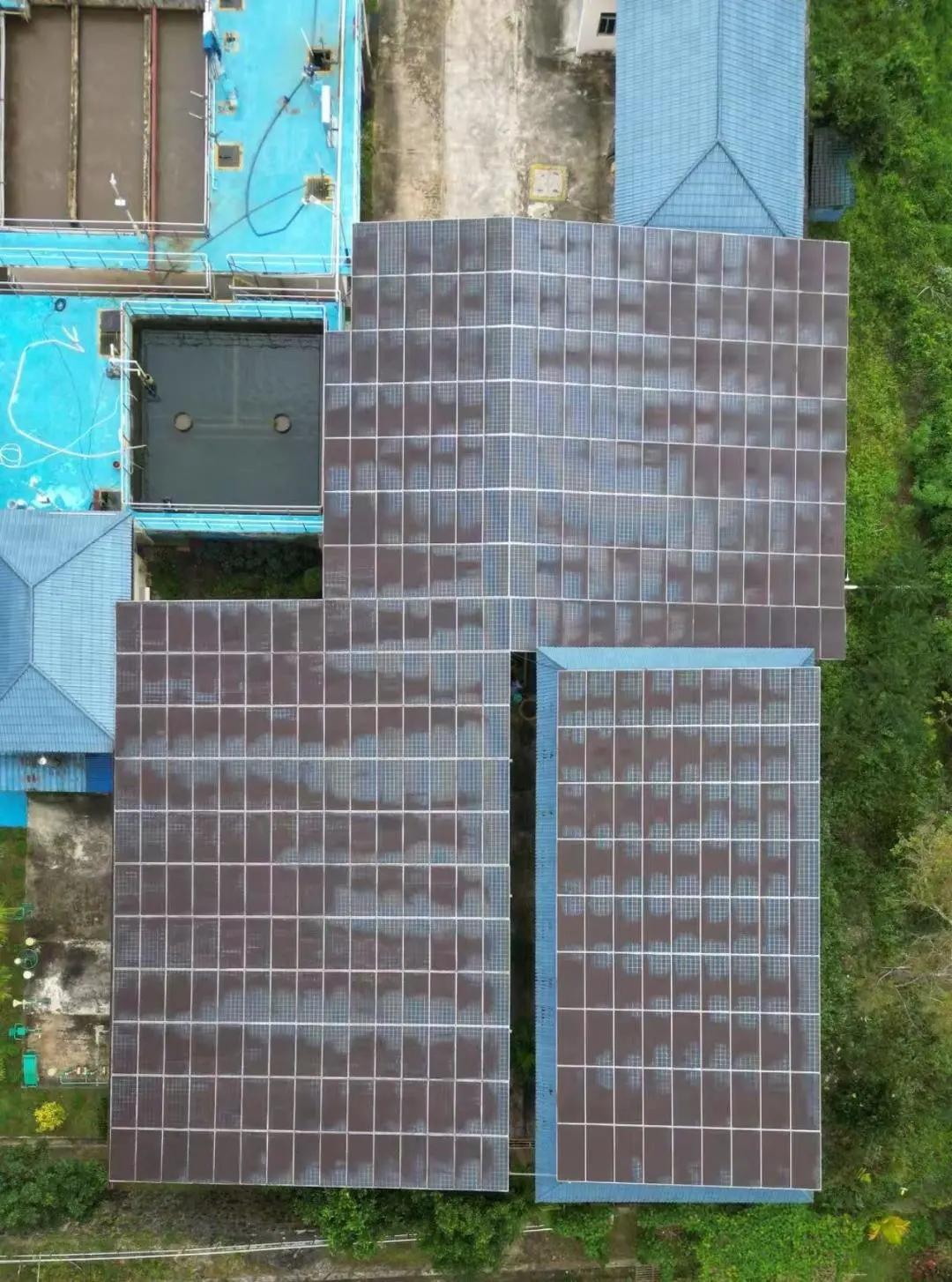 Pg电子游戏：精准发力各展所长多家央国企助力海南乡村振兴(图2)