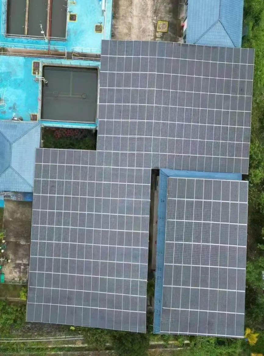 Pg电子游戏：精准发力各展所长多家央国企助力海南乡村振兴(图3)