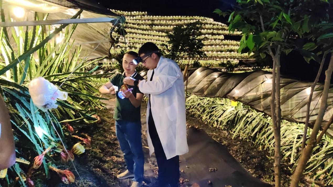 Pg电子游戏：精准发力各展所长多家央国企助力海南乡村振兴(图5)