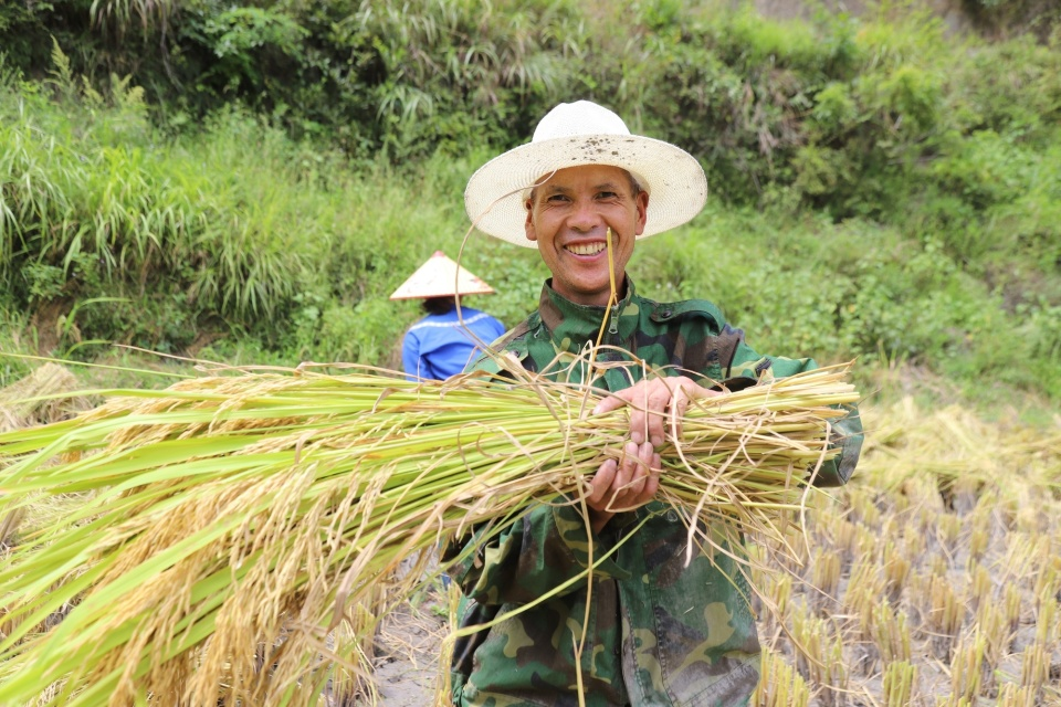 Pg电子游戏：数读中国｜金秋“丰”景满神州颗粒归仓筑牢14万亿斤目标(图1)