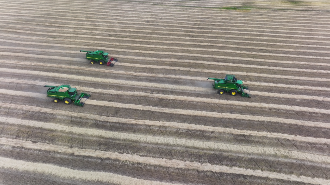 Pg电子游戏：数读中国｜金秋“丰”景满神州颗粒归仓筑牢14万亿斤目标(图2)