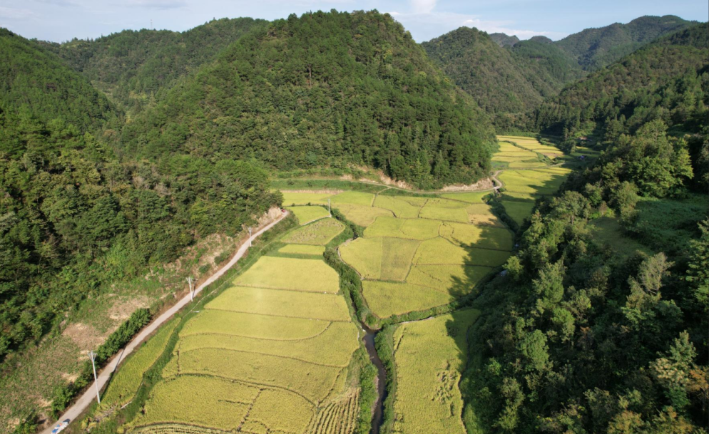 Pg电子游戏：数读中国｜金秋“丰”景满神州颗粒归仓筑牢14万亿斤目标(图3)