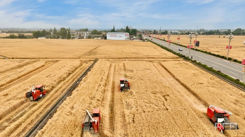 Pg电子游戏：数读中国｜金秋“丰”景满神州颗粒归仓筑牢14万亿斤目标(图4)