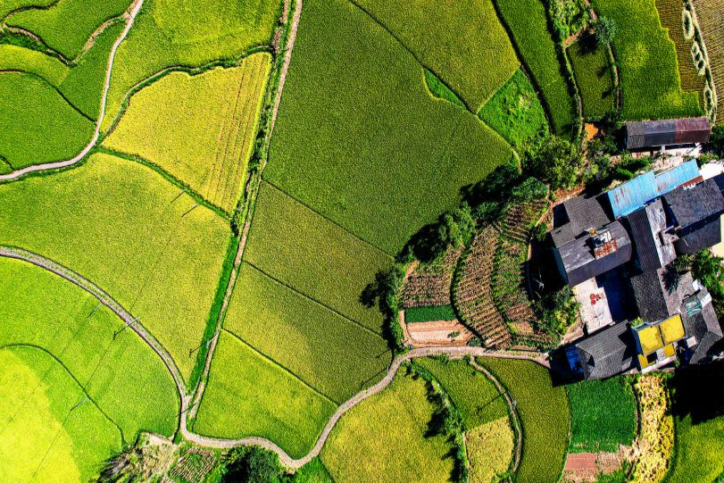 Pg电子游戏：数读中国｜金秋“丰”景满神州颗粒归仓筑牢14万亿斤目标(图7)