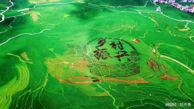 Pg电子游戏平台：刘兴亮｜数字乡村是从哪些方面「数字」的？(图3)