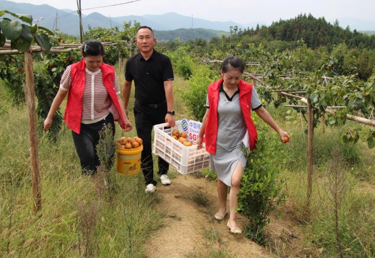 Pg电子游戏：中国移动安徽公司数智赋能奏响乡村振兴“秋收乐章”(图2)
