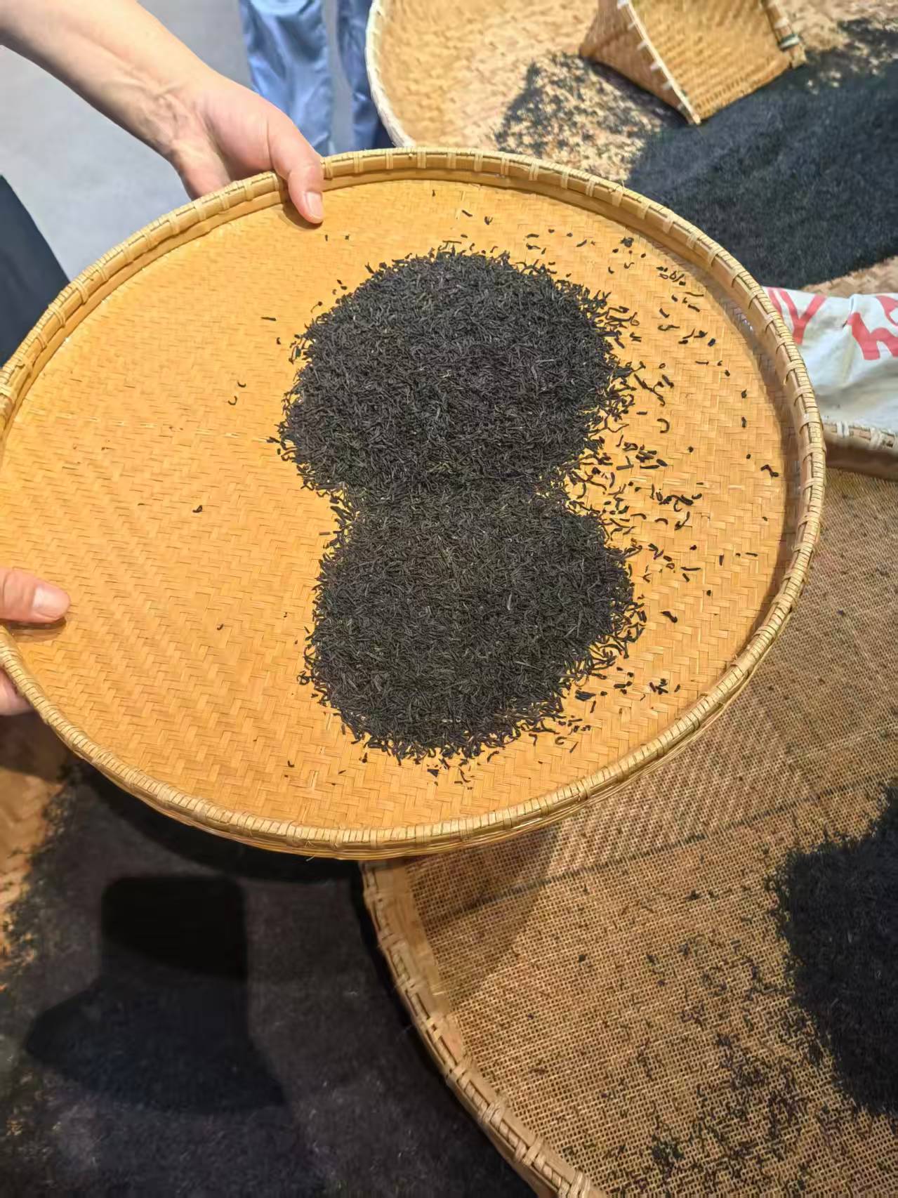 Pg电子游戏平台：政协江淮行 祁门县政协履职尽责助力茶产业高质量发展(图2)