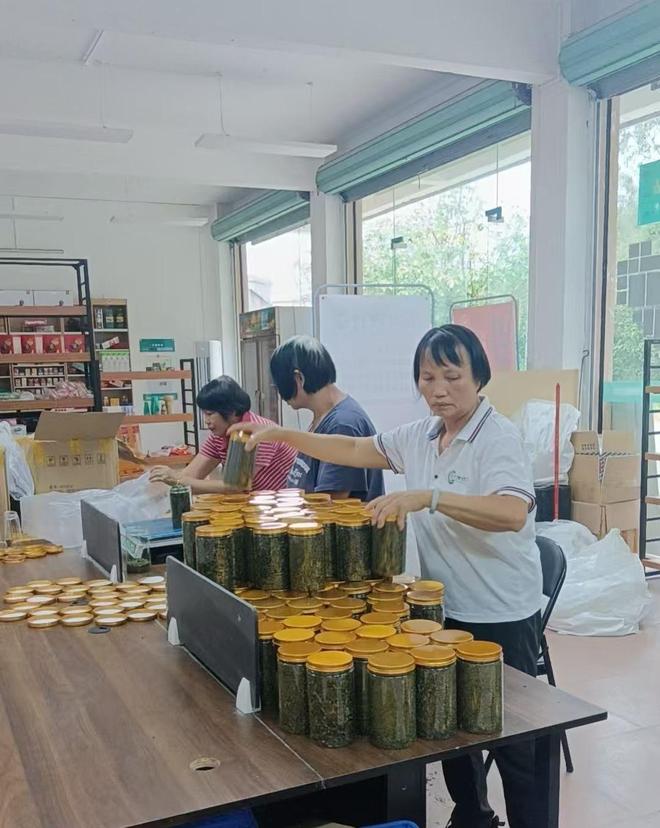 Pg电子游戏：广东乡村（社区）运营研究院揭牌！有人返乡推动农产品进民宿(图2)