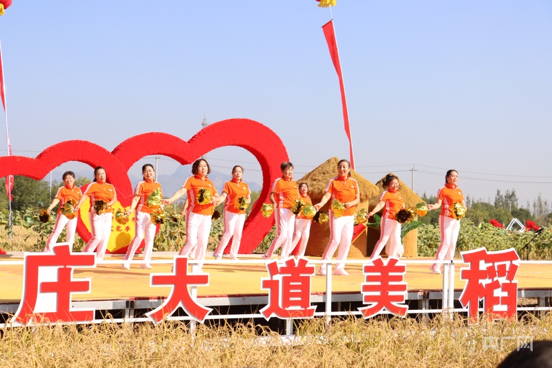 Pg电子游戏:北京延庆区康庄镇小丰营村520亩旱稻开镰(图1)