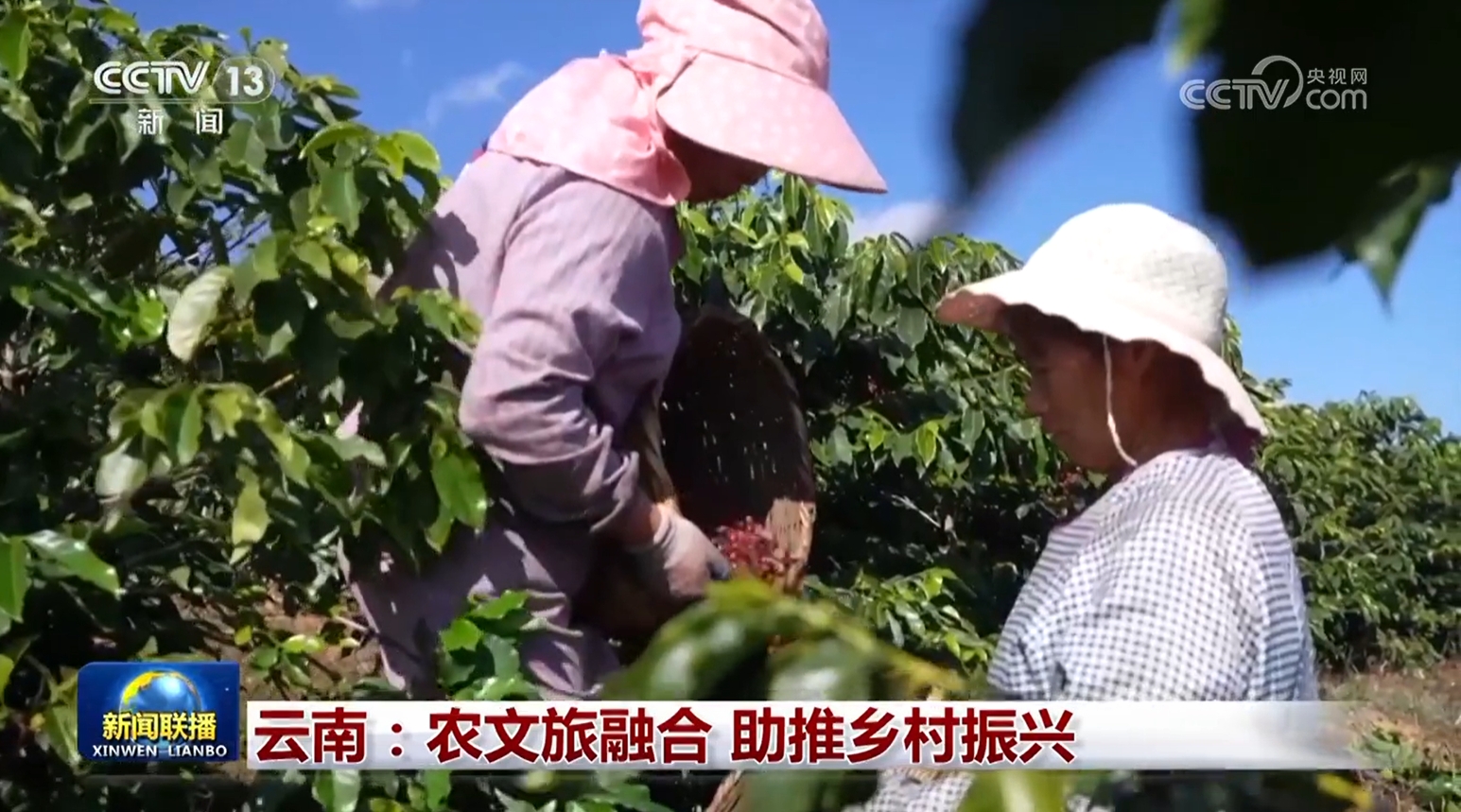 Pg电子游戏:贵州加快构建现代化产业体系云南:农文旅融合助推乡村振兴(图4)