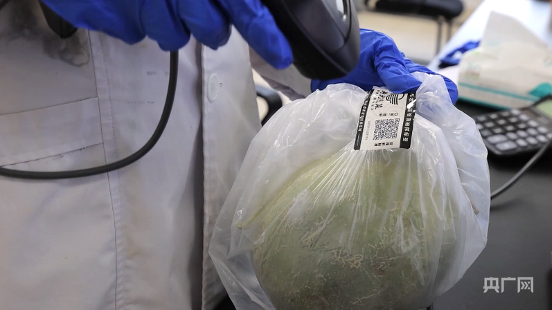 Pg电子游戏：“智”绘新丰景丨数字深耕田园地智能催旺丰收年(图3)