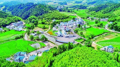 Pg电子游戏平台:江西省井冈山市茅坪镇马源村:村容和美醉人意(图2)