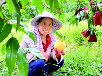 Pg电子游戏平台:江西省井冈山市茅坪镇马源村:村容和美醉人意(图1)