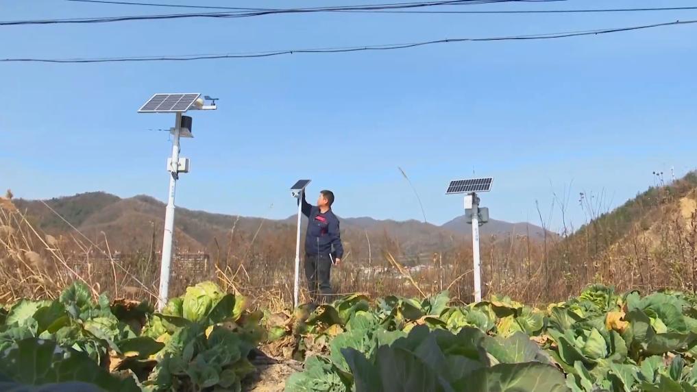 Pg电子游戏平台:新华视点|数字科技赋能乡村振兴(图3)