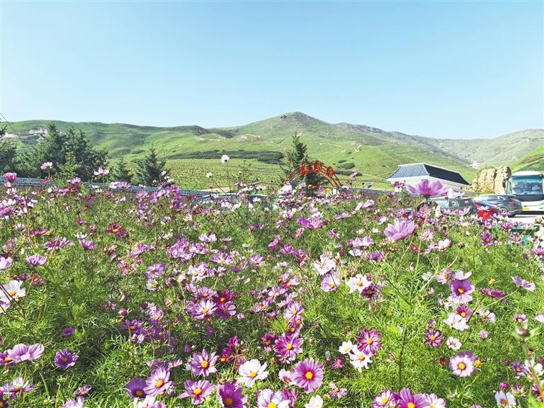 Pg电子游戏平台:定西临洮:农文旅融合绘就乡村振兴新图景-新华网(图3)