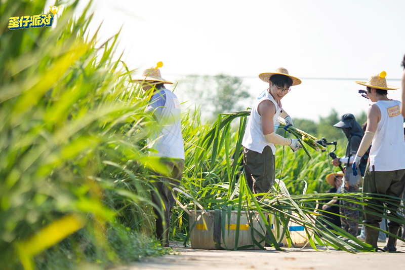 Pg电子平台：“小屏幕”连接“大田野”：《蛋仔派对》互动务农直播交出助农新答卷(图2)