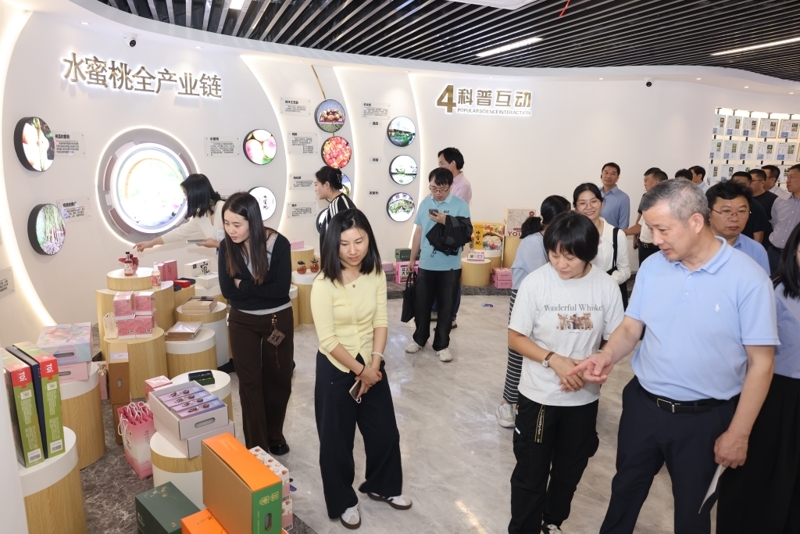 Pg电子平台:从田间到云端数字乡村建设助力无锡焕新(图3)