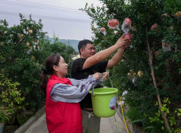 Pg电子平台：安徽移动：从石榴园的“志愿红”到智慧村的“暖心光”(图1)
