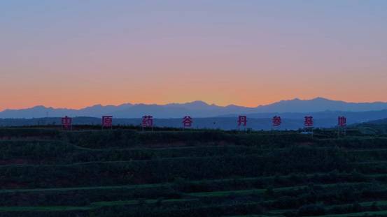 Pg电子平台:“移”起向新数智兴农数字扎根千年药谷中国移动激活洛阳丹参产业“新引擎”(图5)