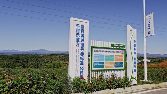 Pg电子平台:“移”起向新数智兴农数字扎根千年药谷中国移动激活洛阳丹参产业“新引擎”(图1)