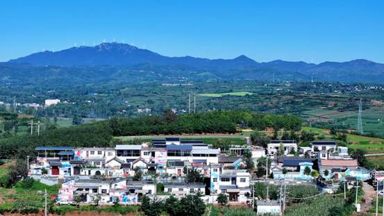 Pg电子平台:“移”起向新数智兴农数字扎根千年药谷中国移动激活洛阳丹参产业“新引擎”(图9)