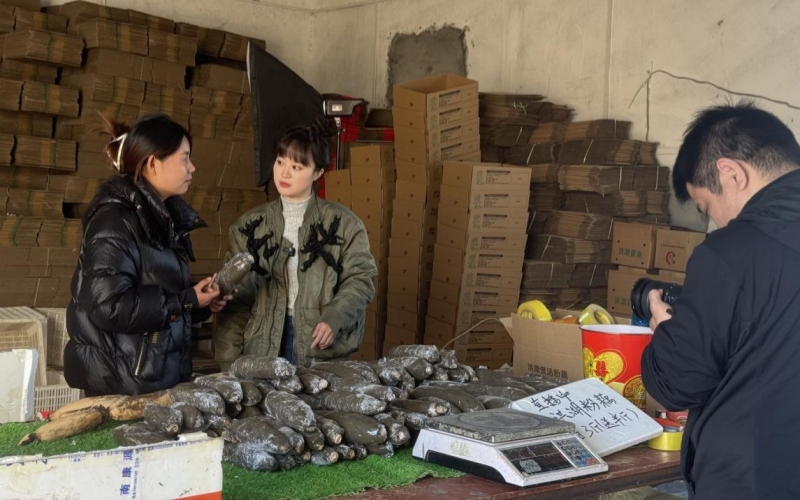 Pg电子游戏平台:“融”聚党建力量“媒”绘振兴画卷(图3)